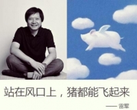 马云谈“风口论”：风停了摔死的都是猪